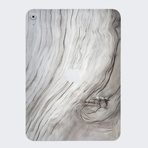 iPad 10th Gen