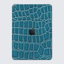 iPad Air 13 M2 2024