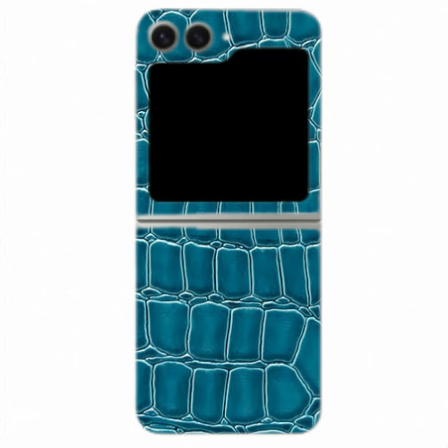Samsung Galaxy Z Flip 6 Skins