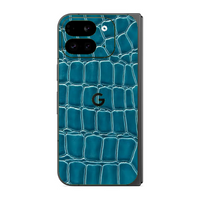 Google Pixel 9 Pro Fold 5G Skins