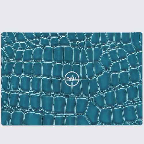 Dell Precision M6600 (P10E) Skins