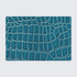 Blue Craft Leather Skin