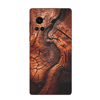 Vivo X60