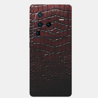 Vivo X80