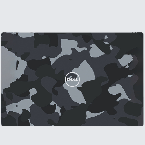 Dell Precision M6600 (P10E) Skins