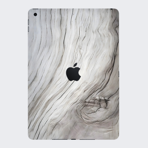 iPad 9th Gen 2021