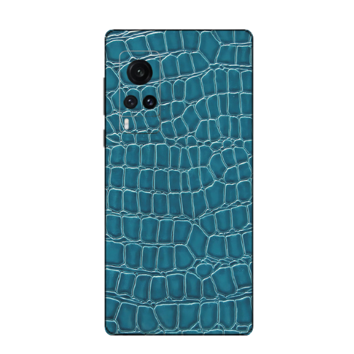 Vivo X60