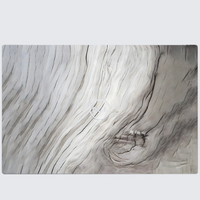 Dell XPS 13 9380 Skins