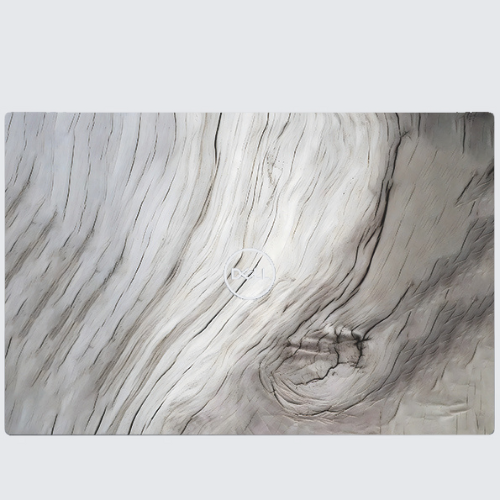 Dell XPS 13 9380 Skins