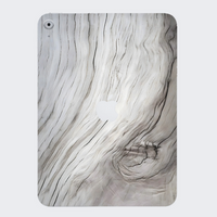 iPad 10th Gen