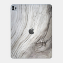 iPad Pro 11 2020