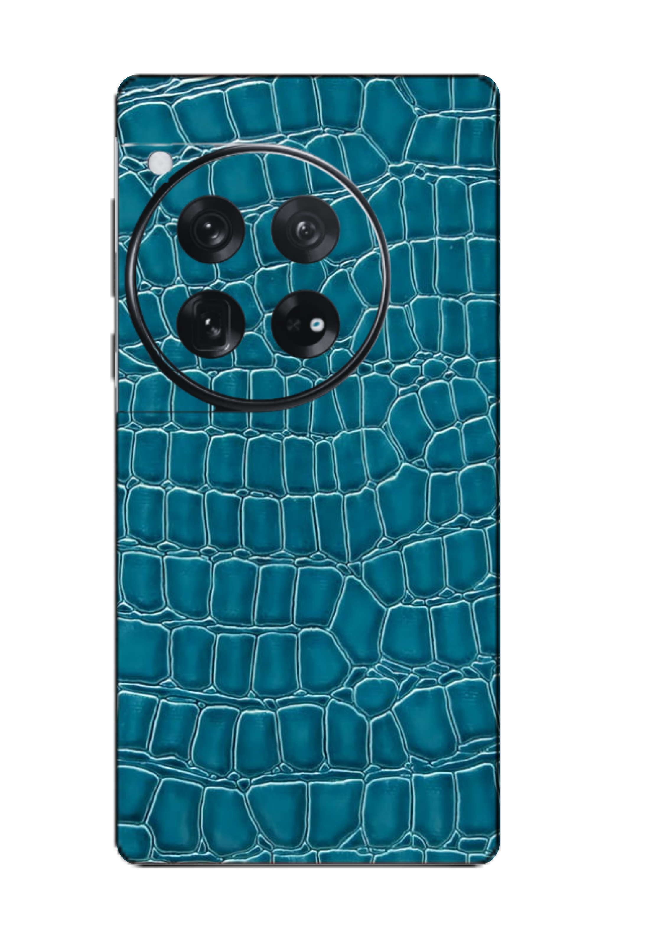 OnePlus 12 Skins