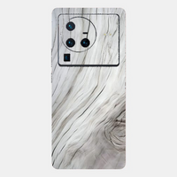 Vivo X80