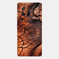 Vivo X80