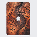 iPad 10th Gen