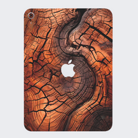 iPad 10th Gen