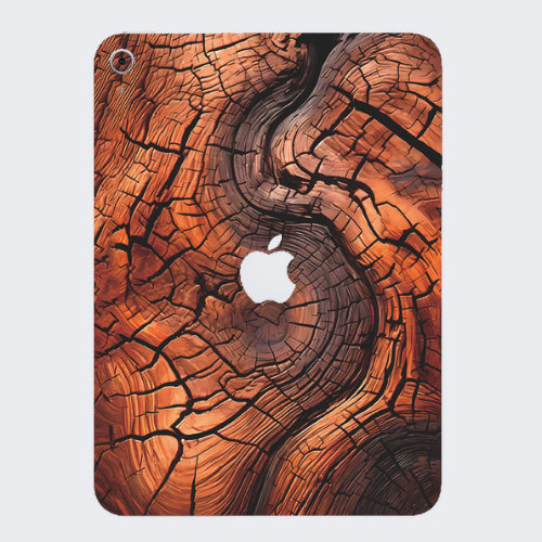 iPad 10th Gen
