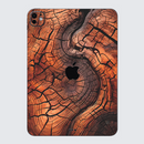 iPad Pro 13 M4 2024