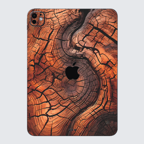 iPad Pro 13 M4 2024