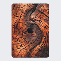 iPad 9th Gen 2021