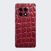 OnePlus 13 Skins
