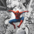 Spidey Journey Skin