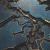 Thought Maze Skin