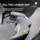 Worqfit SitWrap – Memory Foam Back & Lumbar Support Cushion