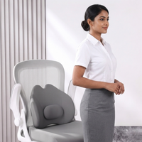 Worqfit SitWrap – Memory Foam Back & Lumbar Support Cushion