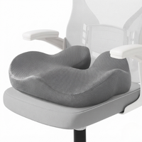 Worqfit SitEase - Memory Foam Seat, Mesh Back & Lumbar Support