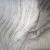 White Wood Skin